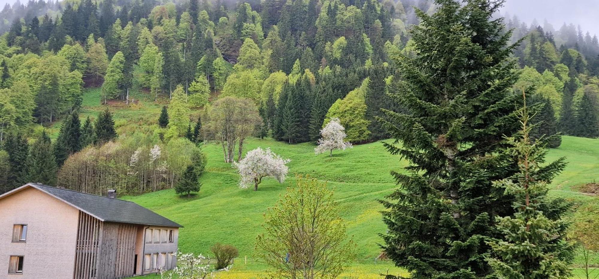 Haus Luise Ξενοδοχείο Bad Hindelang Εξωτερικό φωτογραφία